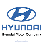 شركة محمد يوسف ناغي للسيارات هيونداي Hyundai